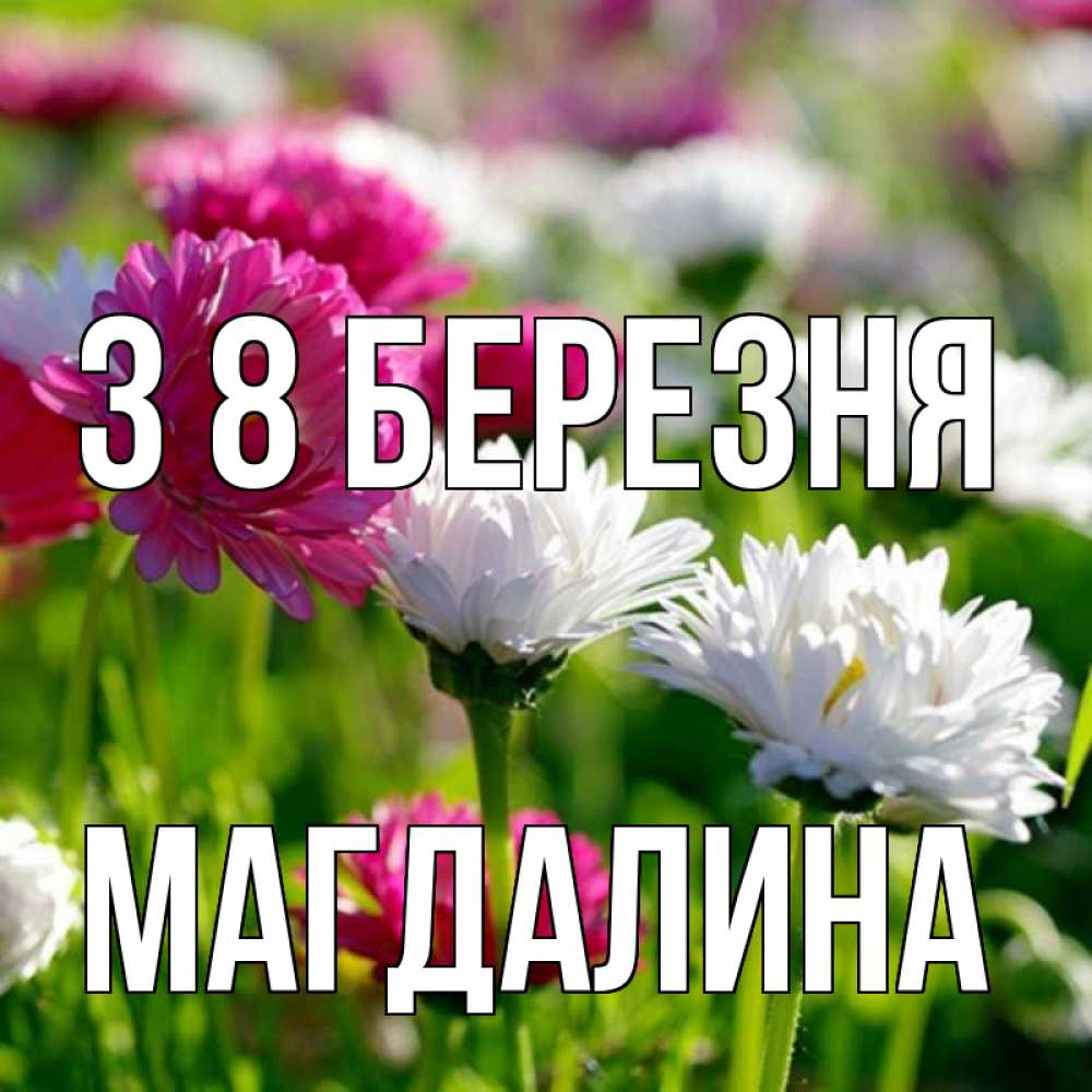 Открытка на каждый день з підписом, Магдалина З 8 БЕРЕЗНЯ международный женский день 1 Прикольна листівка з побажанням онлайн скачати безкоштовно 