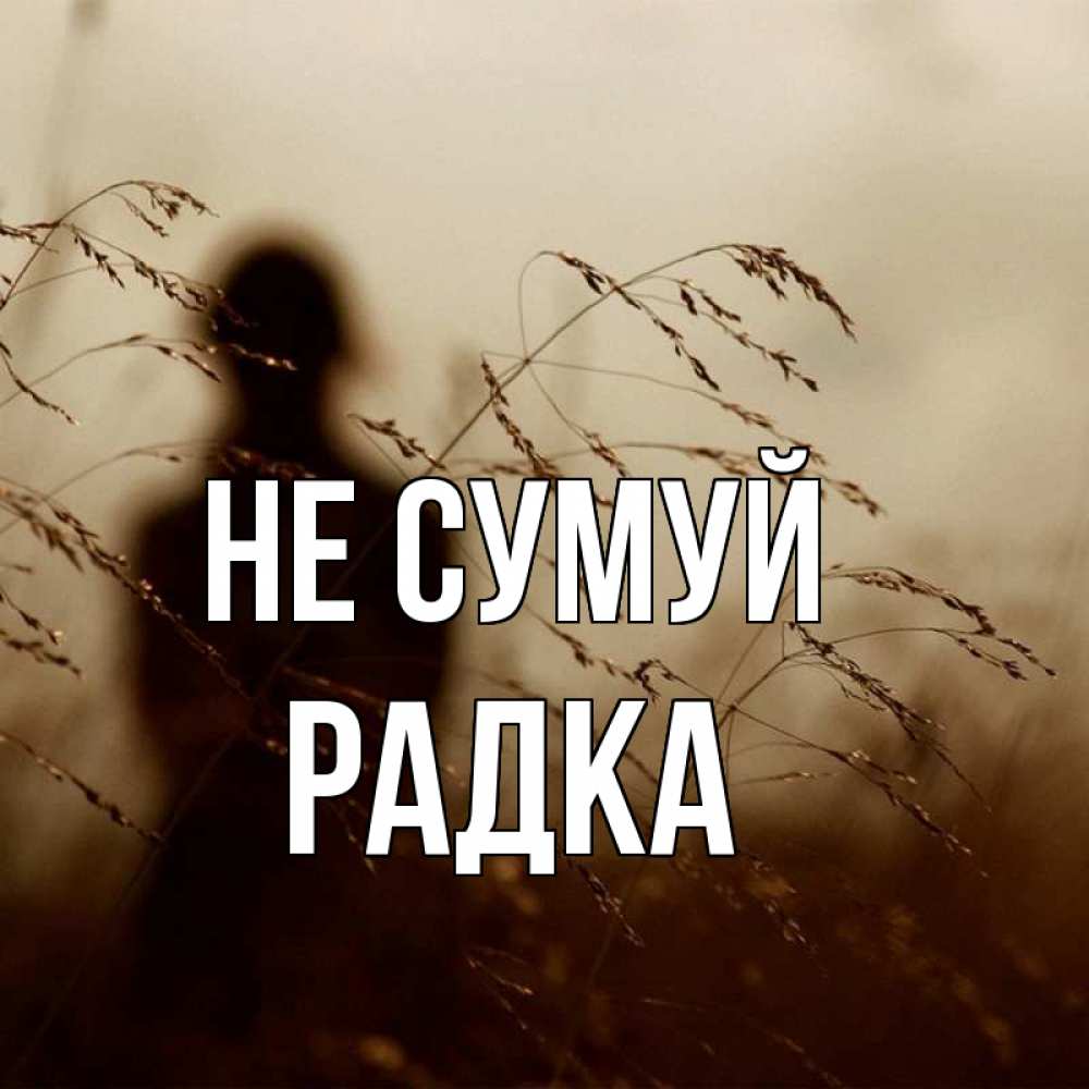 Открытка на каждый день з підписом, Радка Не сумуй грусть Прикольна листівка з побажанням онлайн скачати безкоштовно 