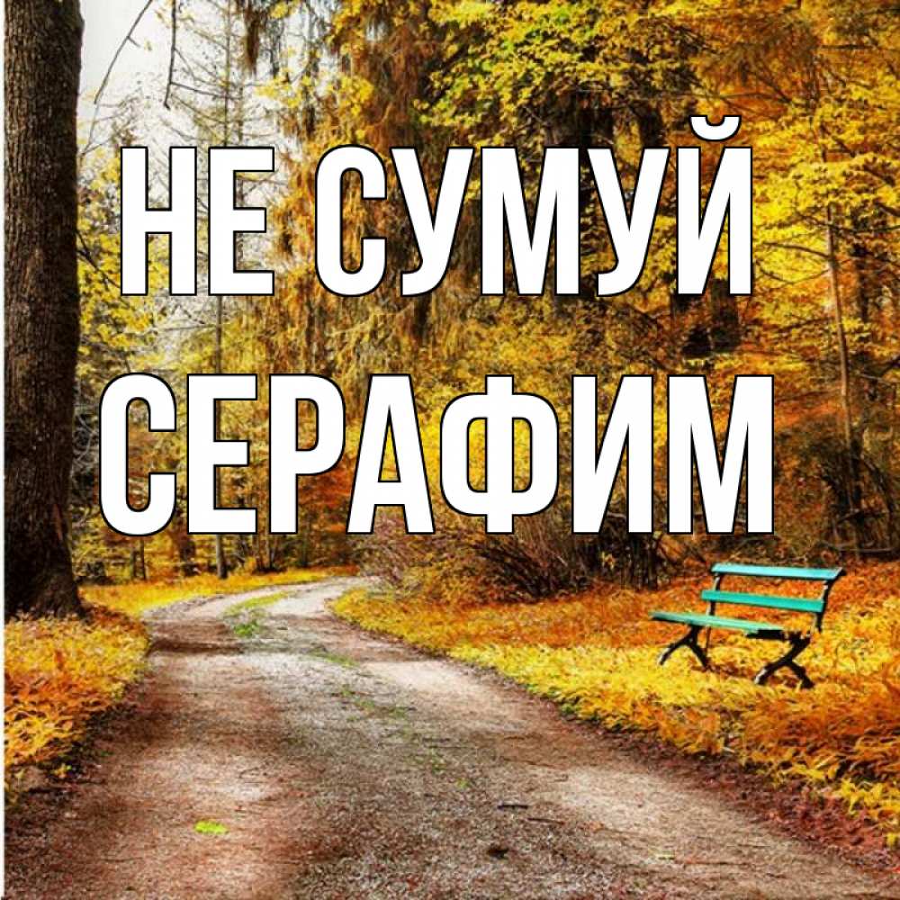 Открытка на каждый день з підписом, Серафим Не сумуй зеленая лавочка Прикольна листівка з побажанням онлайн скачати безкоштовно 