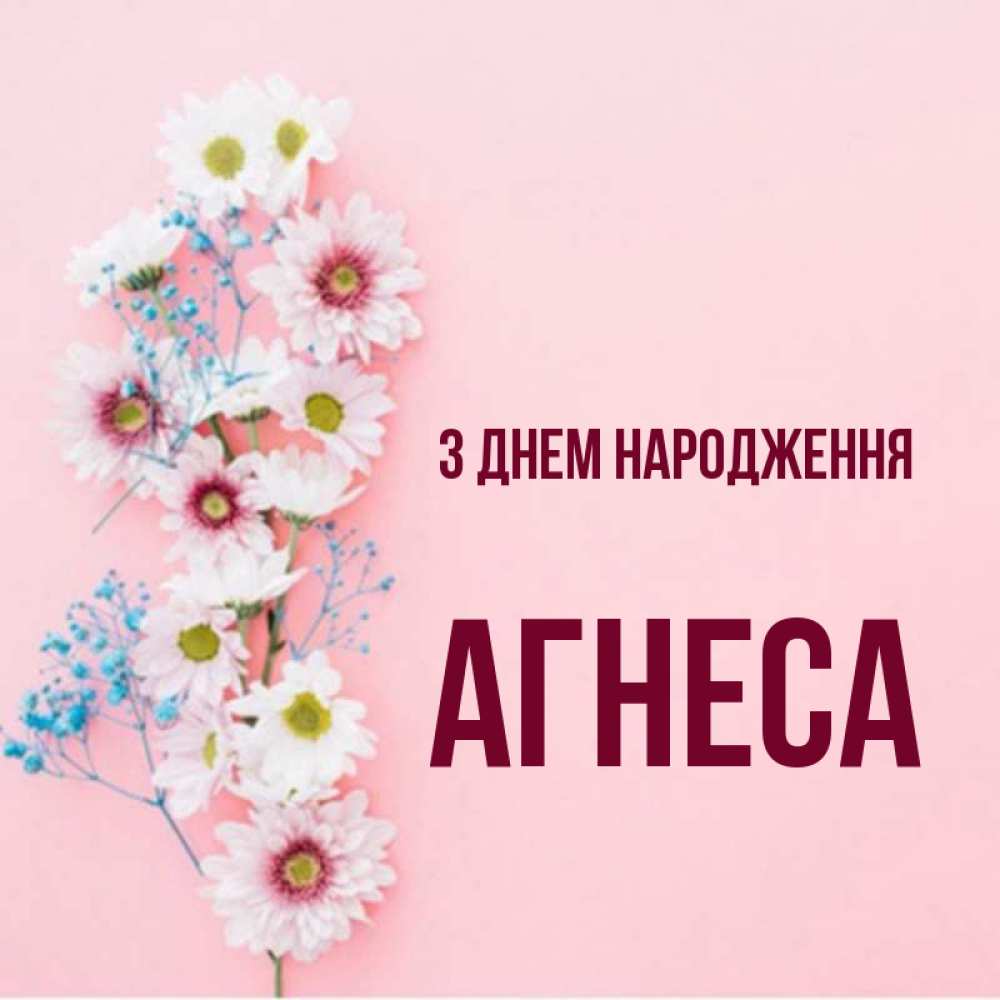 Открытка на каждый день з підписом, Агнеса З Днем народження Родная моя с днем рождения тебя картинка с цветами белыми и голубыми Прикольна листівка з побажанням онлайн скачати безкоштовно 