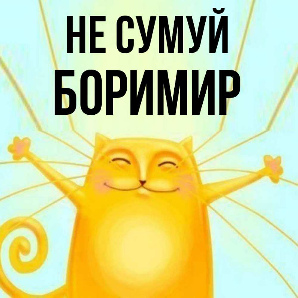 Открытка на каждый день з підписом, Боримир Не сумуй обнимашки усатые Прикольна листівка з побажанням онлайн скачати безкоштовно 