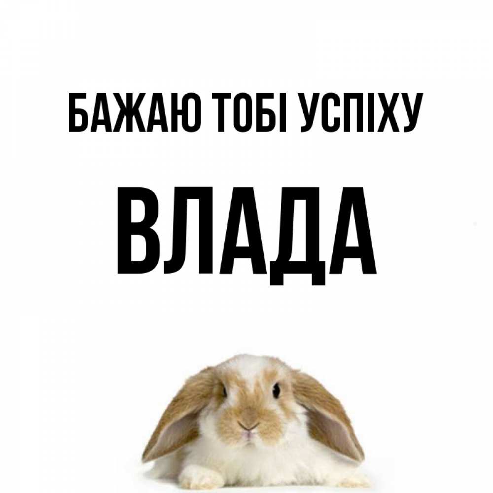 Открытка на каждый день з підписом, Влада Бажаю тобі успіху открытки с произвольным текстом который можно вставить в открытку и создать ее самостоятельно бесплатно онлайн Прикольна листівка з побажанням онлайн скачати безкоштовно 