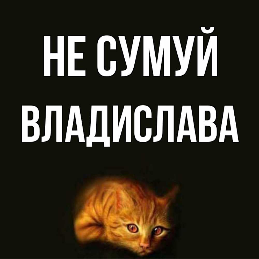 Открытка на каждый день з підписом, Владислава Не сумуй лежащий кот в темноте Прикольна листівка з побажанням онлайн скачати безкоштовно 