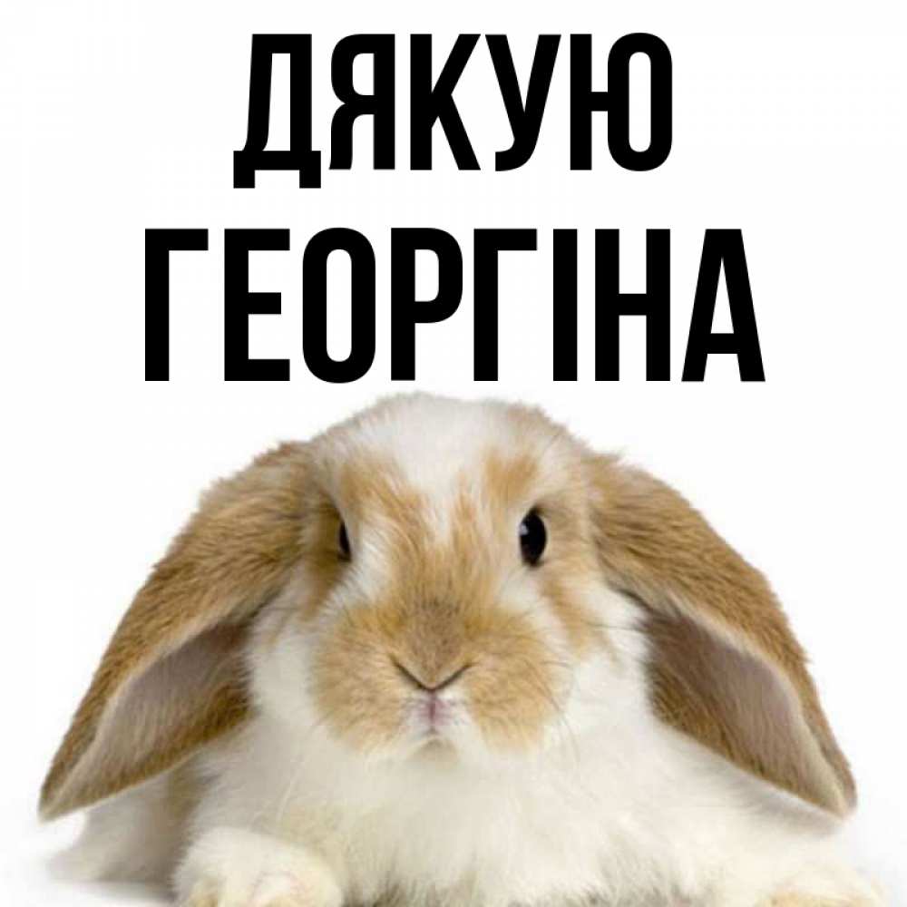 Открытка на каждый день з підписом, Георгіна Дякую коричнево белый заяц Прикольна листівка з побажанням онлайн скачати безкоштовно 