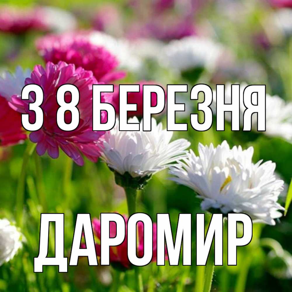 Открытка на каждый день з підписом, Даромир З 8 БЕРЕЗНЯ международный женский день 1 Прикольна листівка з побажанням онлайн скачати безкоштовно 