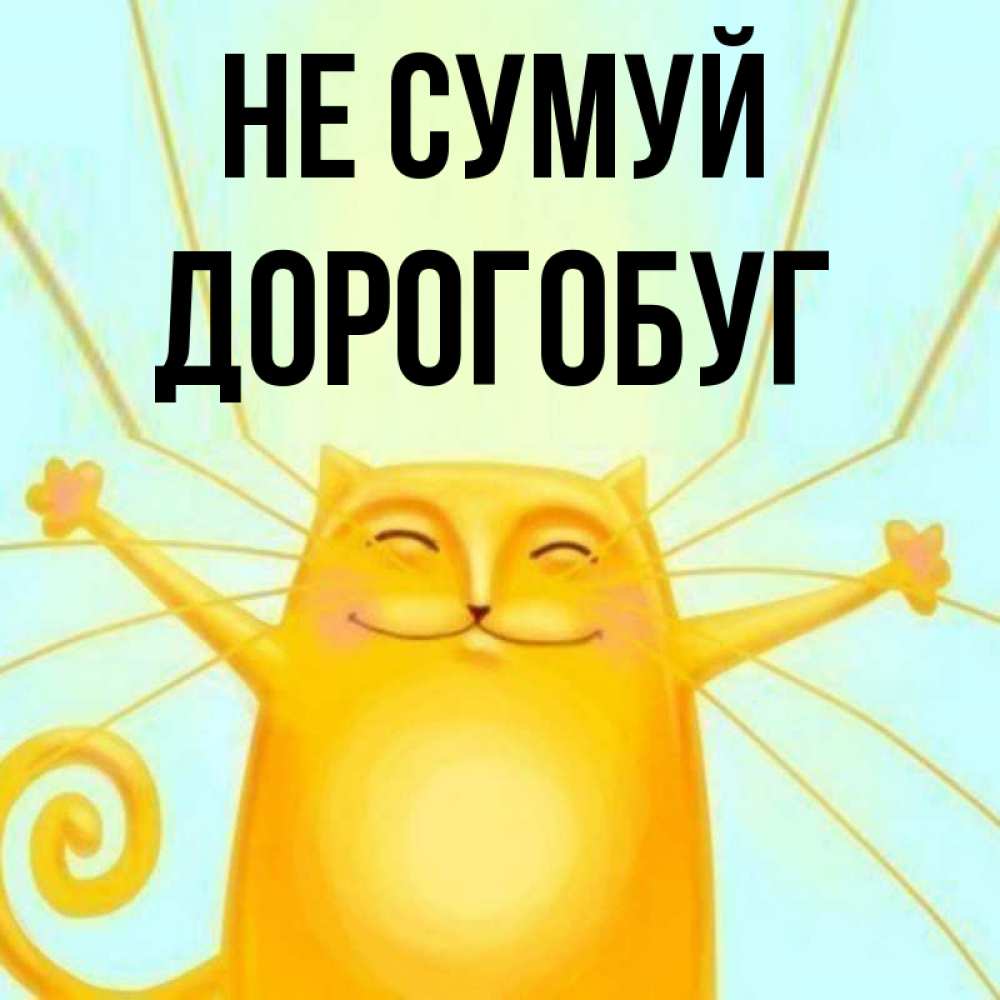 Открытка на каждый день з підписом, Дорогобуг Не сумуй обнимашки усатые Прикольна листівка з побажанням онлайн скачати безкоштовно 
