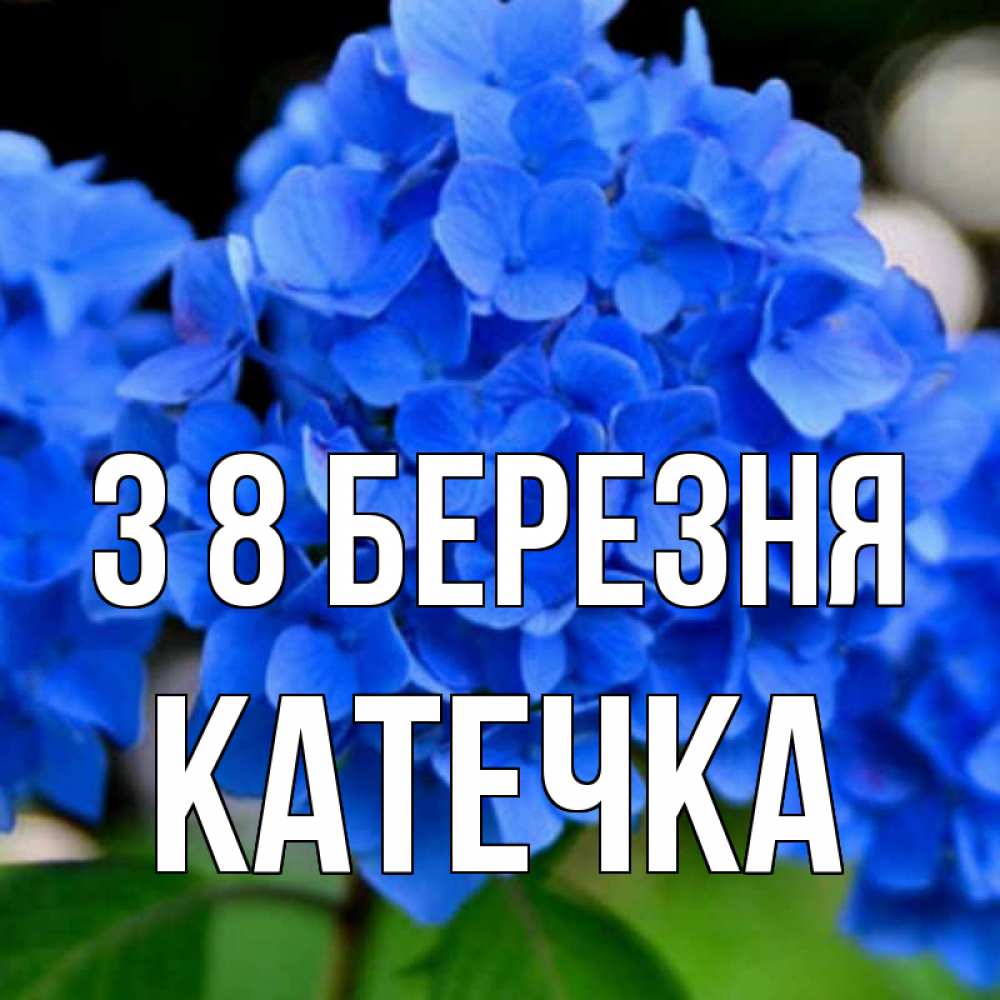 Открытка на каждый день з підписом, Катечка З 8 БЕРЕЗНЯ синие цветы Прикольна листівка з побажанням онлайн скачати безкоштовно 
