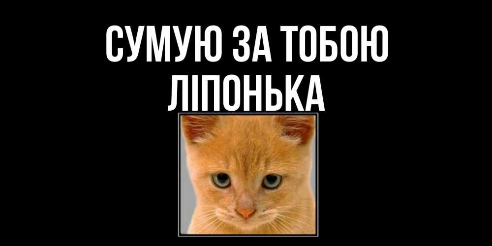 Открытка на каждый день з підписом, Ліпонька Сумую за тобою открытки рыжий котенок скучает по тебе Прикольна листівка з побажанням онлайн скачати безкоштовно 