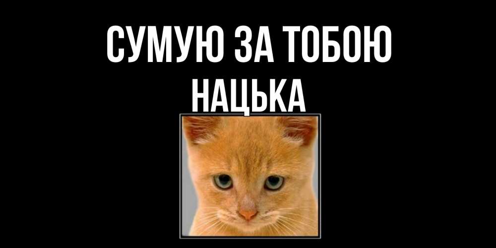 Открытка на каждый день з підписом, Нацька Сумую за тобою открытки рыжий котенок скучает по тебе Прикольна листівка з побажанням онлайн скачати безкоштовно 