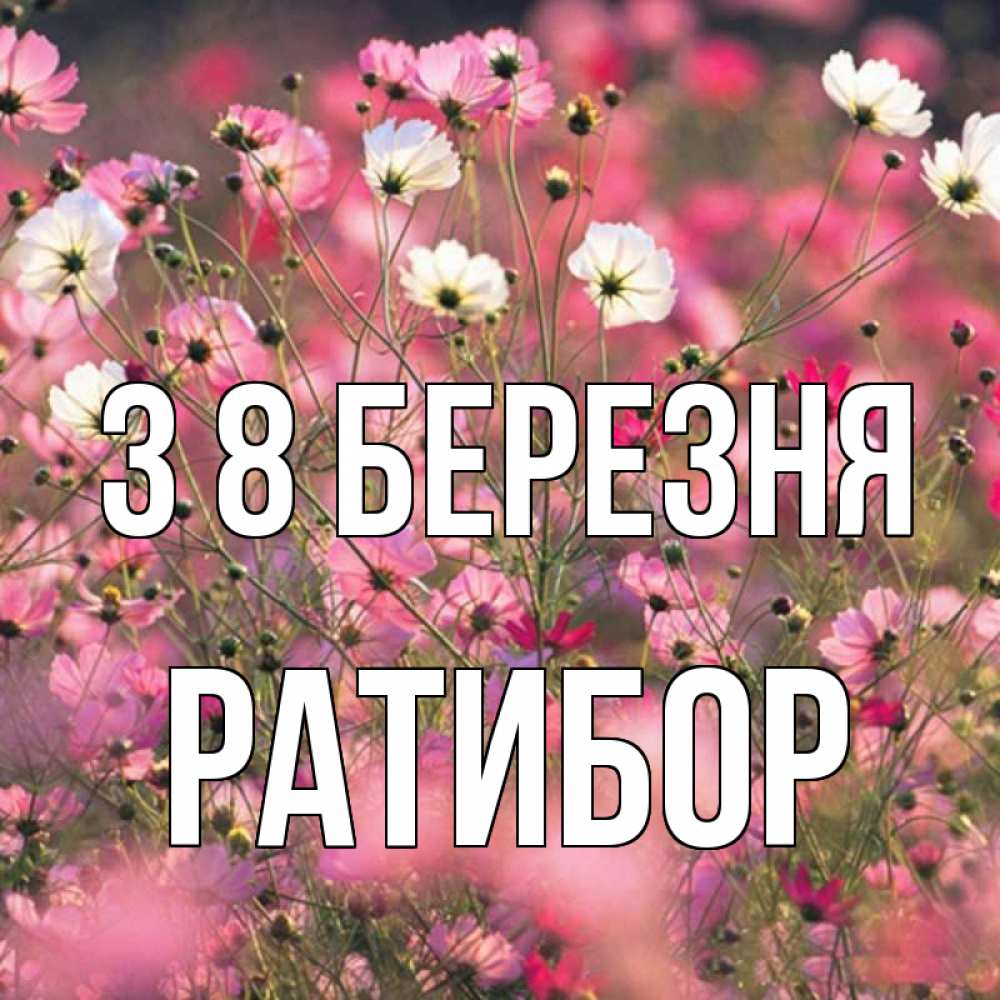 Открытка на каждый день з підписом, Ратибор З 8 БЕРЕЗНЯ красиво 1 Прикольна листівка з побажанням онлайн скачати безкоштовно 