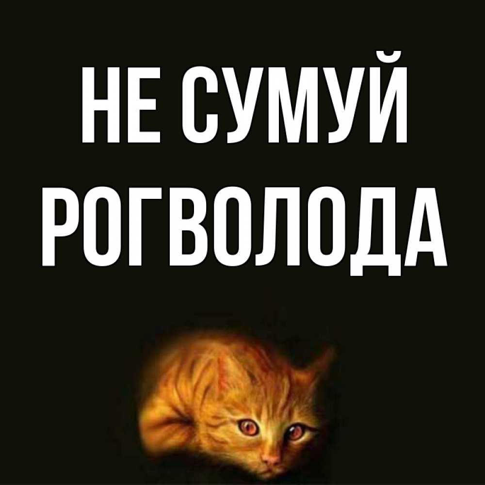Открытка на каждый день з підписом, Рогволода Не сумуй лежащий кот в темноте Прикольна листівка з побажанням онлайн скачати безкоштовно 