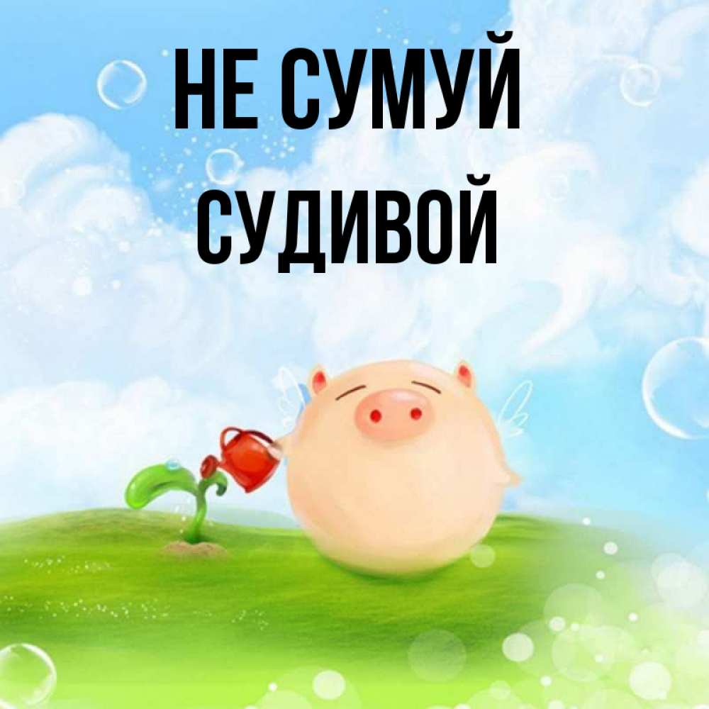 Открытка на каждый день з підписом, Судивой Не сумуй поливает цветок порося Прикольна листівка з побажанням онлайн скачати безкоштовно 