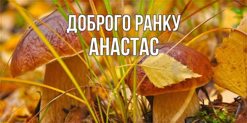 Открытка на каждый день з підписом, Анастас Доброго ранку осенние грибы Прикольна листівка з побажанням онлайн скачати безкоштовно 