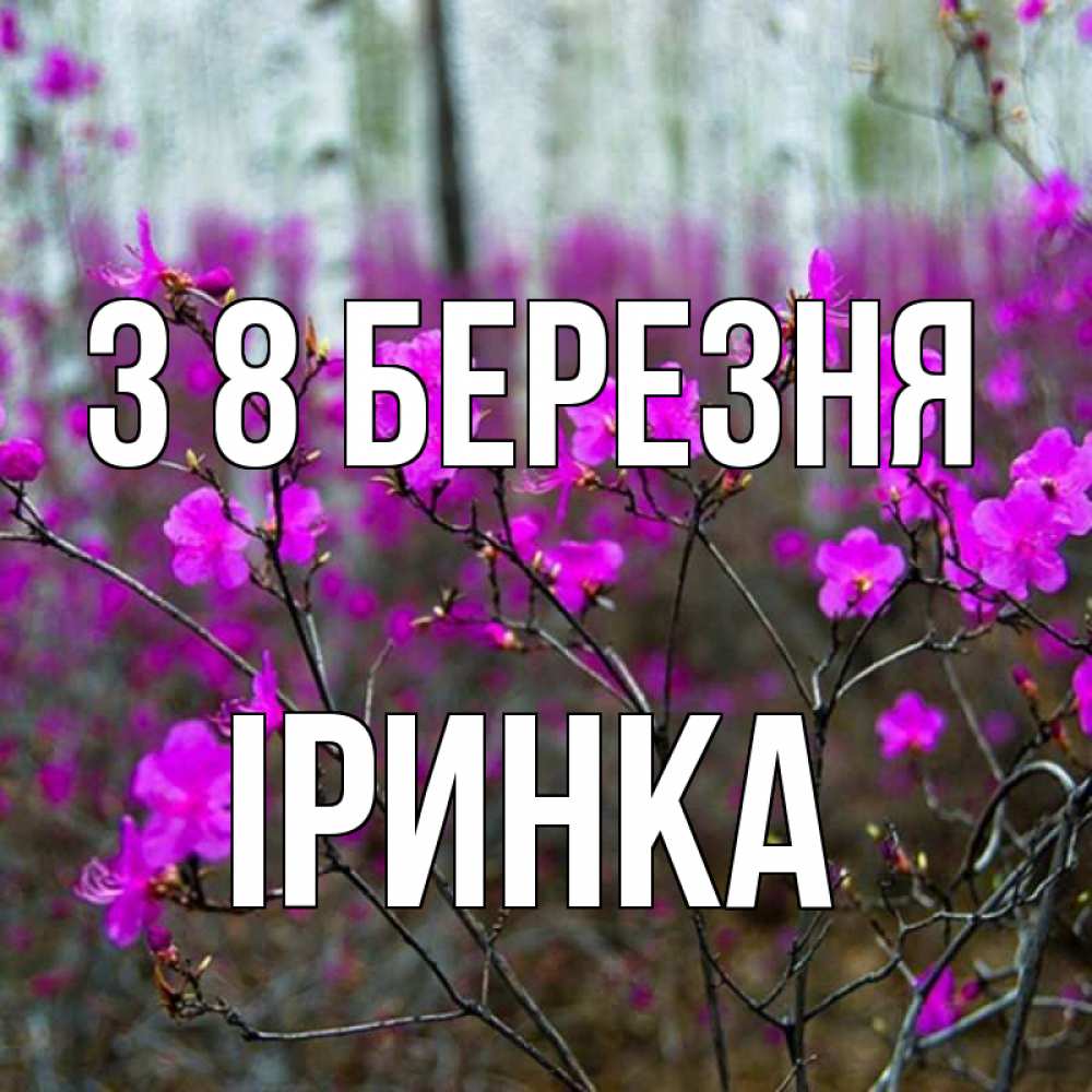 Открытка на каждый день з підписом, Іринка З 8 БЕРЕЗНЯ дикие цветы Прикольна листівка з побажанням онлайн скачати безкоштовно 