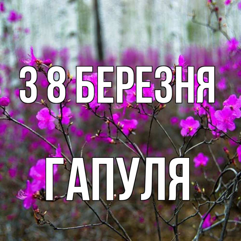 Открытка на каждый день з підписом, Гапуля З 8 БЕРЕЗНЯ дикие цветы Прикольна листівка з побажанням онлайн скачати безкоштовно 