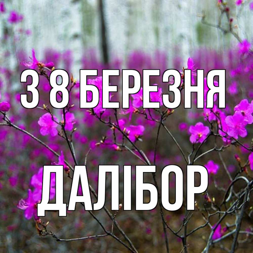 Открытка на каждый день з підписом, Далібор З 8 БЕРЕЗНЯ дикие цветы Прикольна листівка з побажанням онлайн скачати безкоштовно 