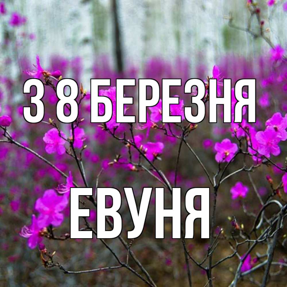 Открытка на каждый день з підписом, Евуня З 8 БЕРЕЗНЯ дикие цветы Прикольна листівка з побажанням онлайн скачати безкоштовно 