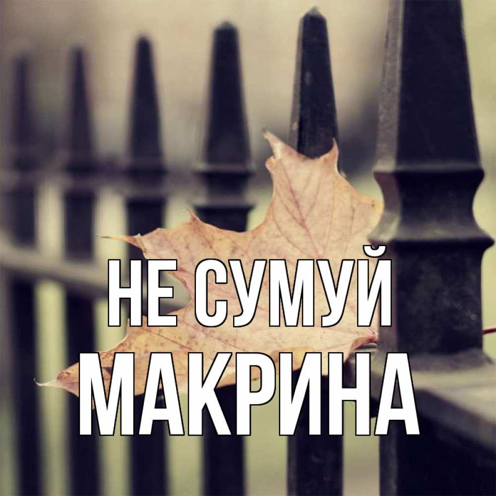 Открытка на каждый день з підписом, Макрина Не сумуй лист клена Прикольна листівка з побажанням онлайн скачати безкоштовно 