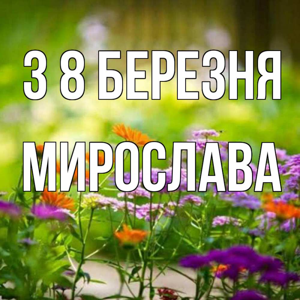 Открытка на каждый день з підписом, Мирослава З 8 БЕРЕЗНЯ цветы Прикольна листівка з побажанням онлайн скачати безкоштовно 