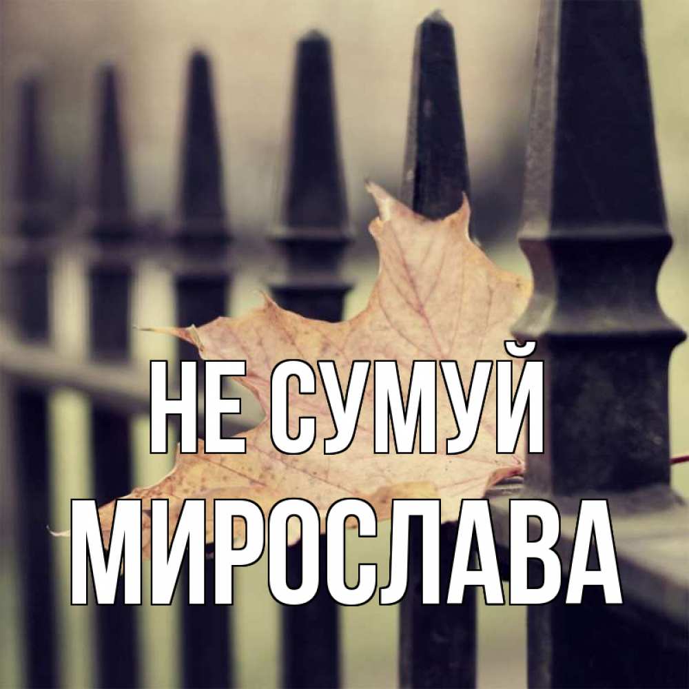 Открытка на каждый день з підписом, Мирослава Не сумуй лист клена Прикольна листівка з побажанням онлайн скачати безкоштовно 
