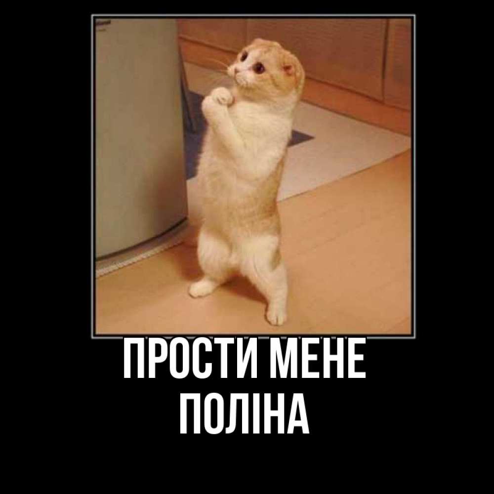 Открытка на каждый день з підписом, Поліна Прости мене открытка с милым несчастным котиком просящим прощения Прикольна листівка з побажанням онлайн скачати безкоштовно 
