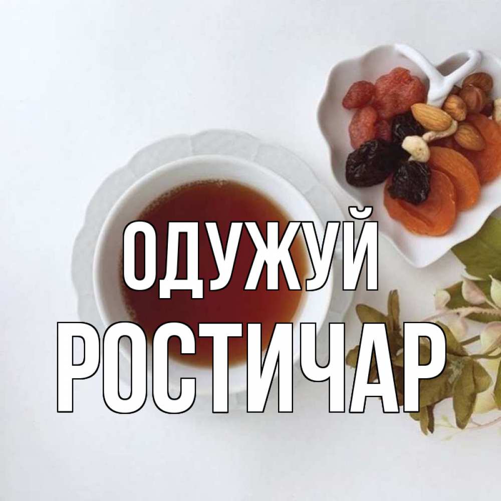 Открытка на каждый день з підписом, Ростичар Одужуй неизвестные растения Прикольна листівка з побажанням онлайн скачати безкоштовно 