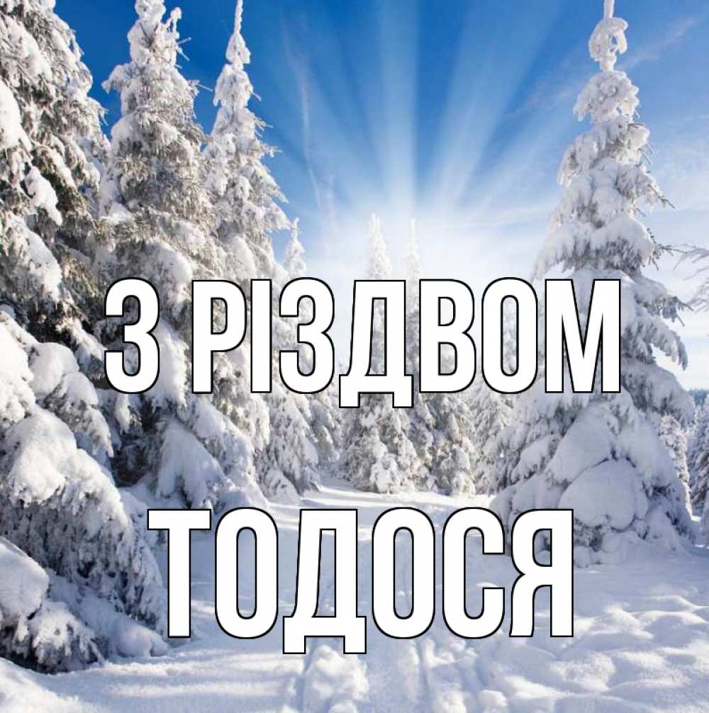 Открытка на каждый день з підписом, Тодося З Різдвом зима, лес Прикольна листівка з побажанням онлайн скачати безкоштовно 