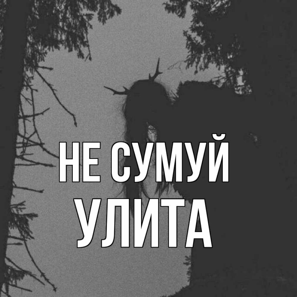 Открытка на каждый день з підписом, Улита Не сумуй чудище лесное Прикольна листівка з побажанням онлайн скачати безкоштовно 