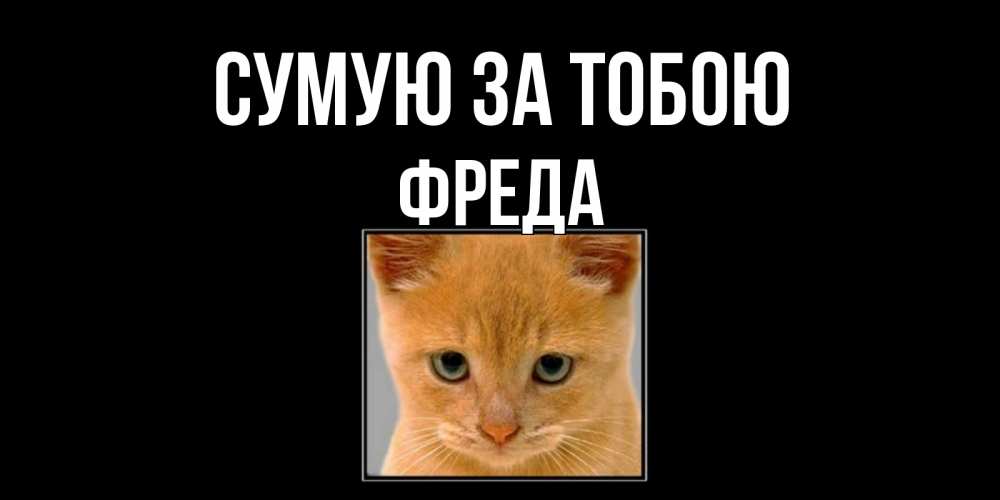 Открытка на каждый день з підписом, Фреда Сумую за тобою открытки рыжий котенок скучает по тебе Прикольна листівка з побажанням онлайн скачати безкоштовно 