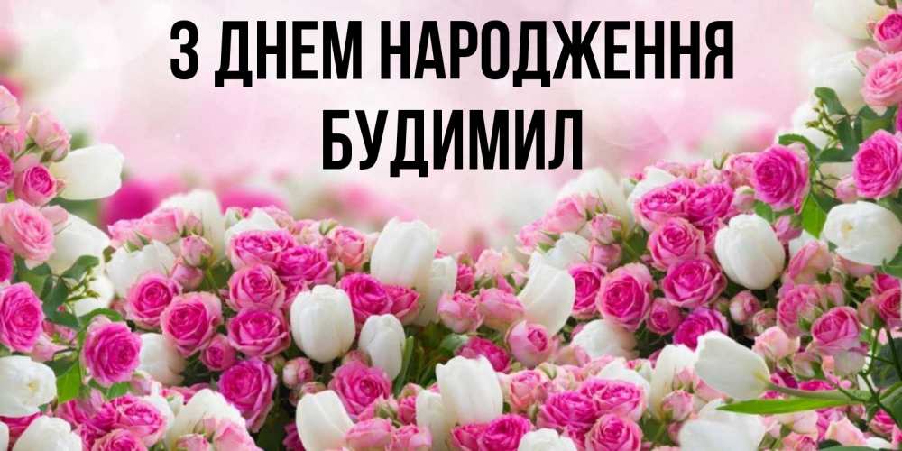 Открытка на каждый день з підписом, Будимил З Днем народження открытка с разными розами Прикольна листівка з побажанням онлайн скачати безкоштовно 