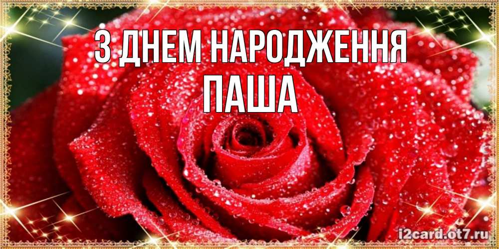 Открытка на каждый день з підписом, Паша З Днем народження роса и роза. открытка с красивой розой Прикольна листівка з побажанням онлайн скачати безкоштовно 