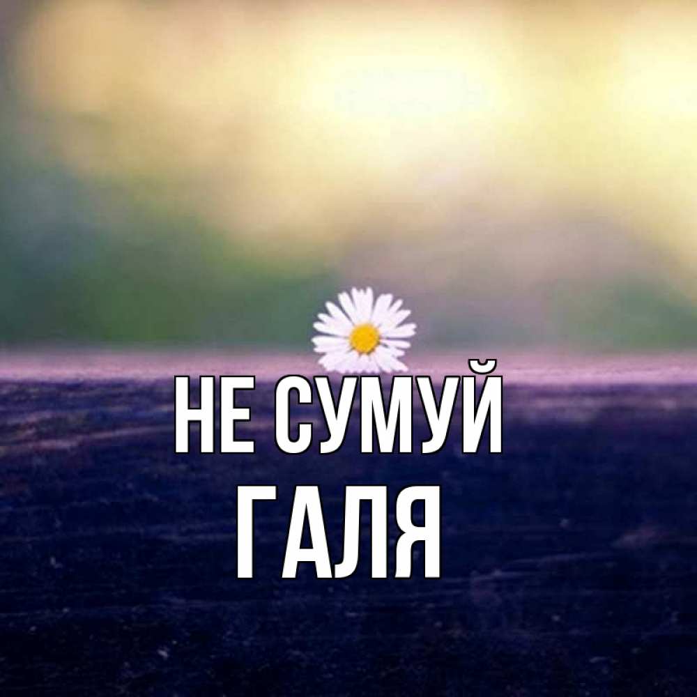 Открытка на каждый день з підписом, Галя Не сумуй красота Прикольна листівка з побажанням онлайн скачати безкоштовно 