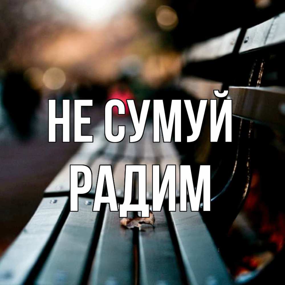 Открытка на каждый день з підписом, Радим Не сумуй размытый фон Прикольна листівка з побажанням онлайн скачати безкоштовно 