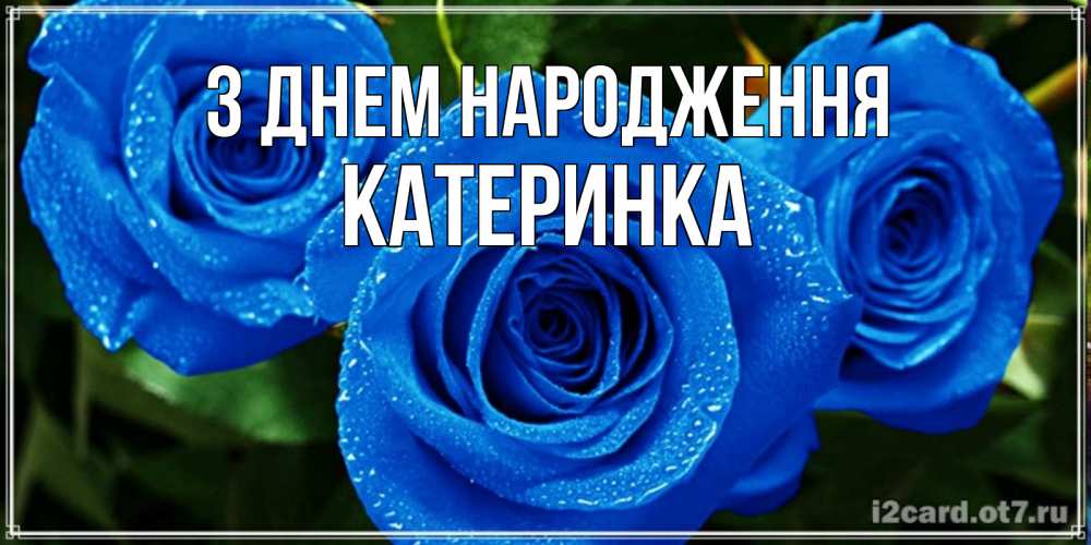 Открытка на каждый день з підписом, Катеринка З Днем народження розы с синим цветом Прикольна листівка з побажанням онлайн скачати безкоштовно 