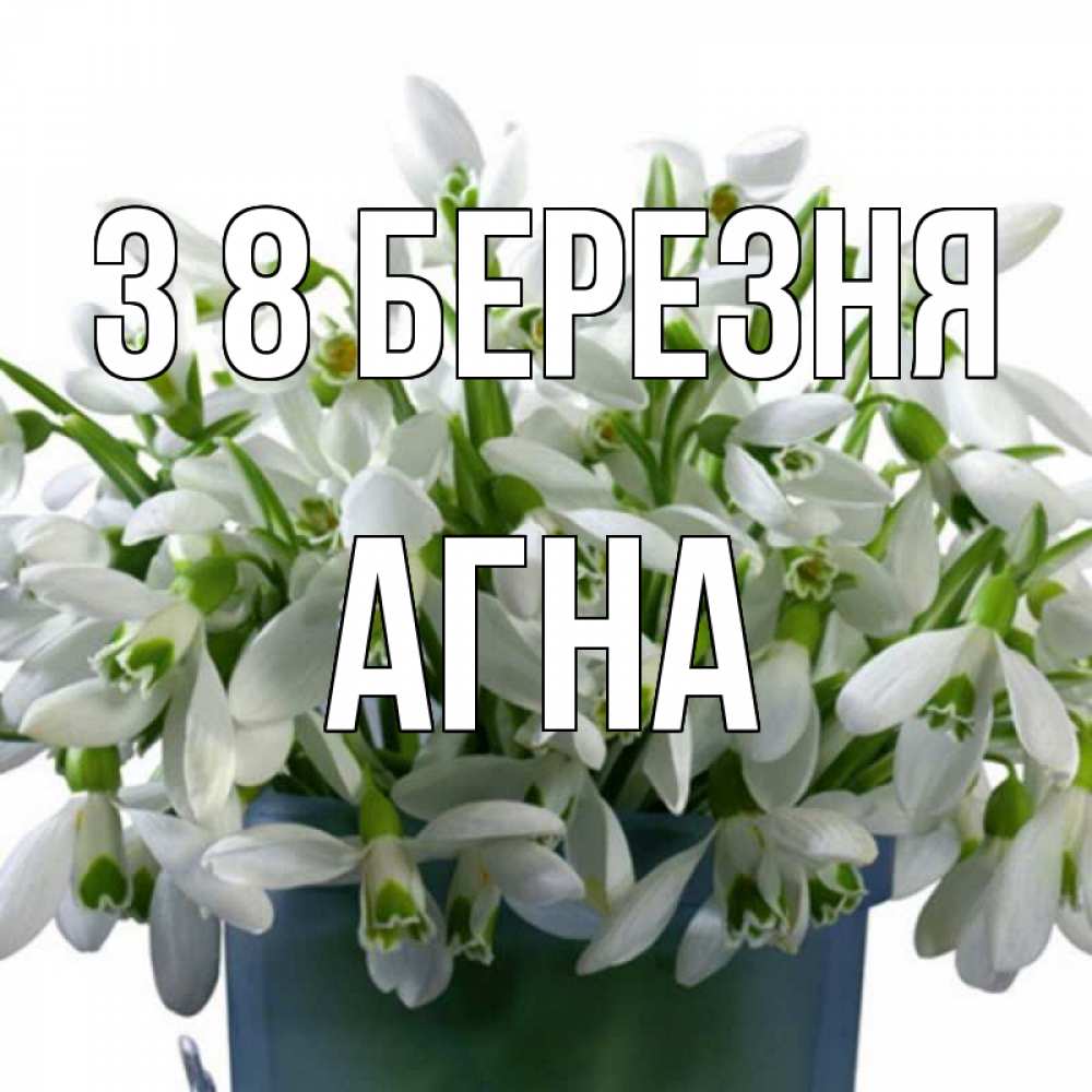 Открытка на каждый день з підписом, Агна З 8 БЕРЕЗНЯ цветы к международному женскому дню Прикольна листівка з побажанням онлайн скачати безкоштовно 
