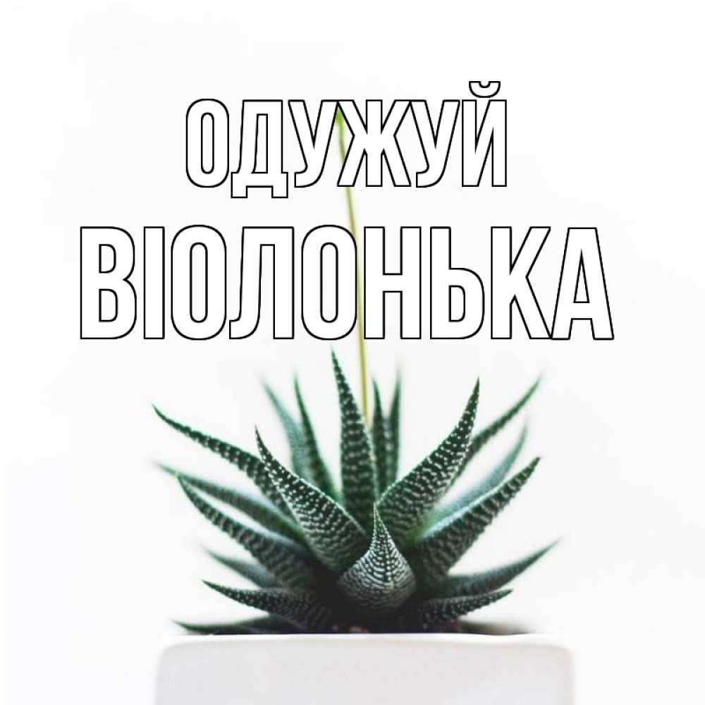 Открытка на каждый день з підписом, Віолонька Одужуй короче это непонятная колючка Прикольна листівка з побажанням онлайн скачати безкоштовно 