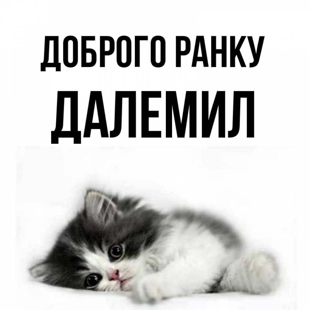 Открытка на каждый день з підписом, Далемил Доброго ранку кот лапки Прикольна листівка з побажанням онлайн скачати безкоштовно 