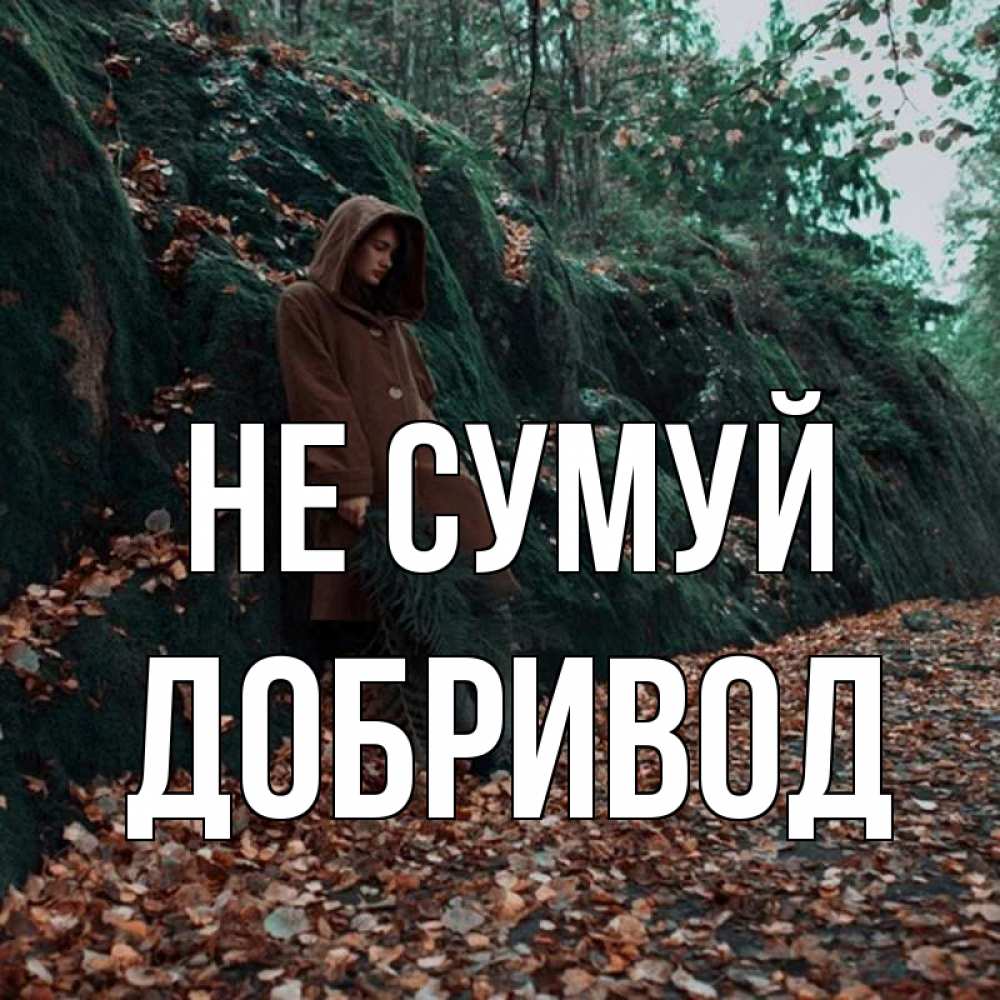 Открытка на каждый день з підписом, Добривод Не сумуй осенний лес Прикольна листівка з побажанням онлайн скачати безкоштовно 
