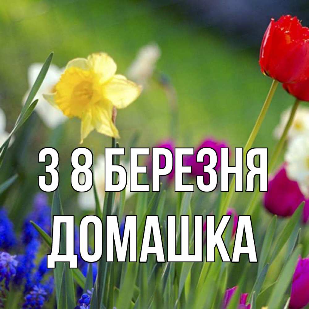 Открытка на каждый день з підписом, Домашка З 8 БЕРЕЗНЯ международный женский день 3 Прикольна листівка з побажанням онлайн скачати безкоштовно 