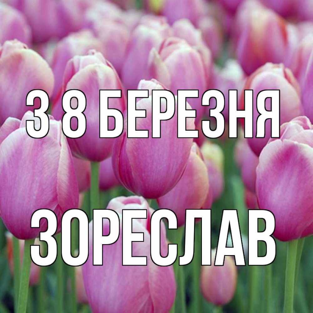 Открытка на каждый день з підписом, Зореслав З 8 БЕРЕЗНЯ на международный женский день 3 Прикольна листівка з побажанням онлайн скачати безкоштовно 