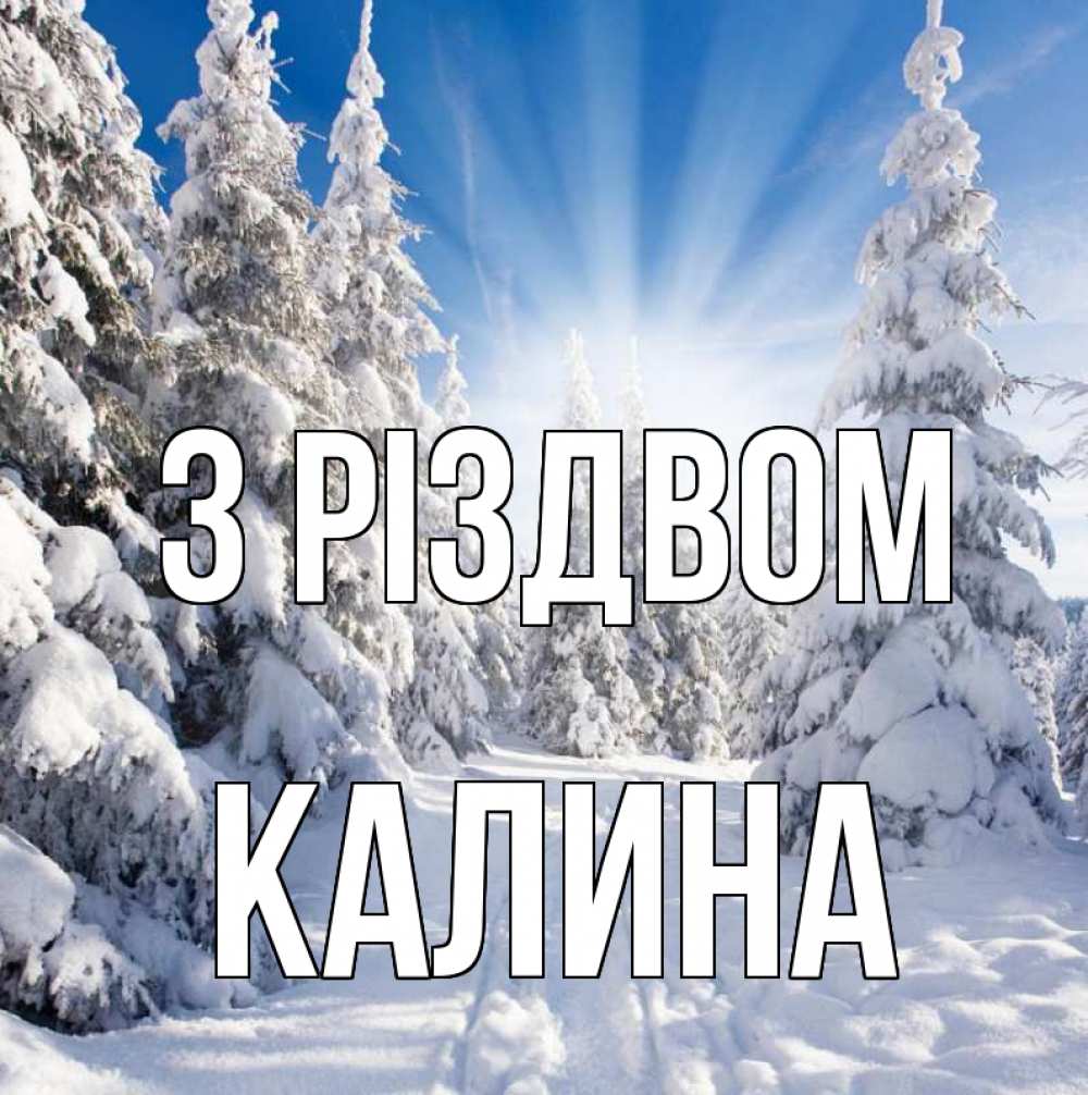 Открытка на каждый день з підписом, Калина З Різдвом зима, лес Прикольна листівка з побажанням онлайн скачати безкоштовно 