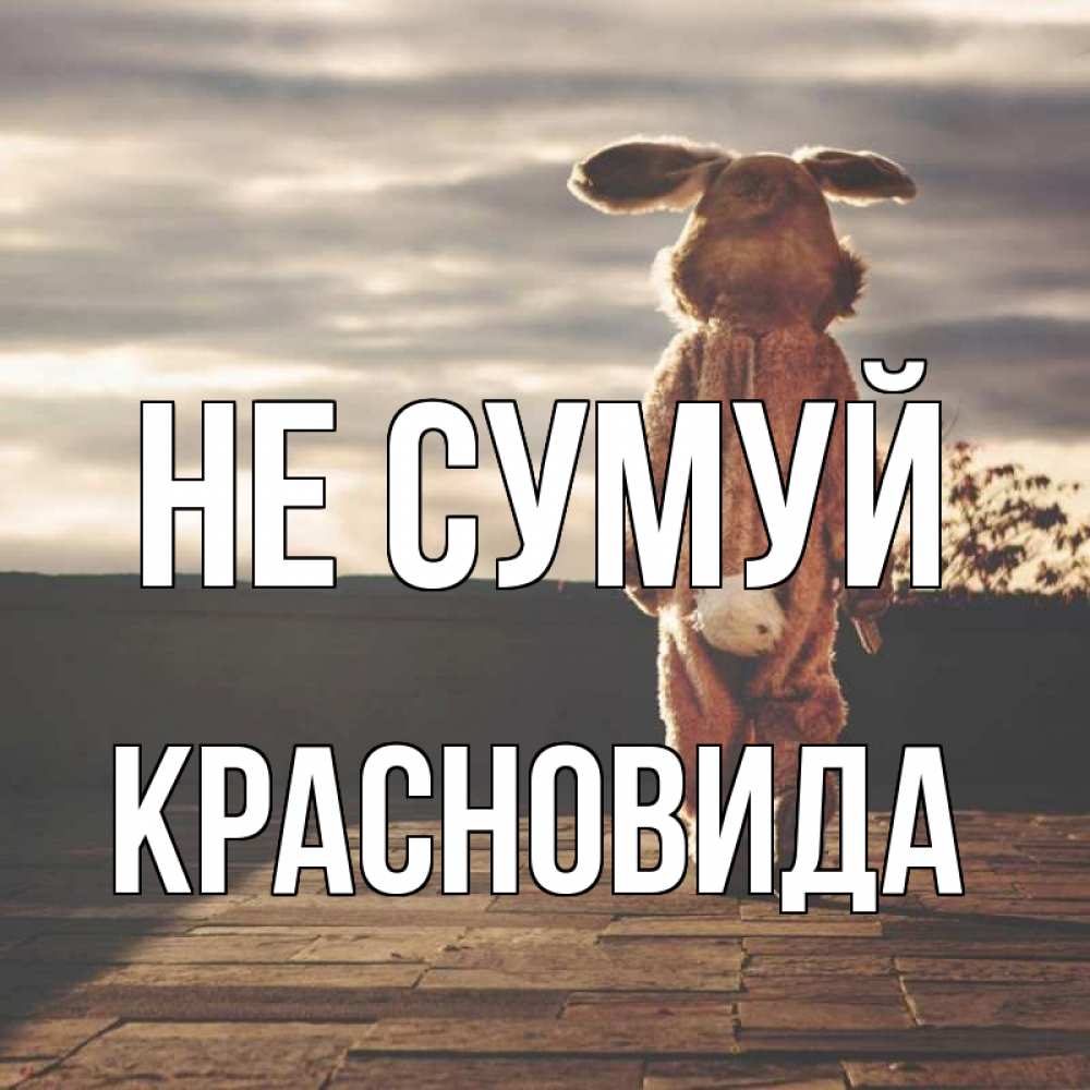 Открытка на каждый день з підписом, Красновида Не сумуй со спины Прикольна листівка з побажанням онлайн скачати безкоштовно 