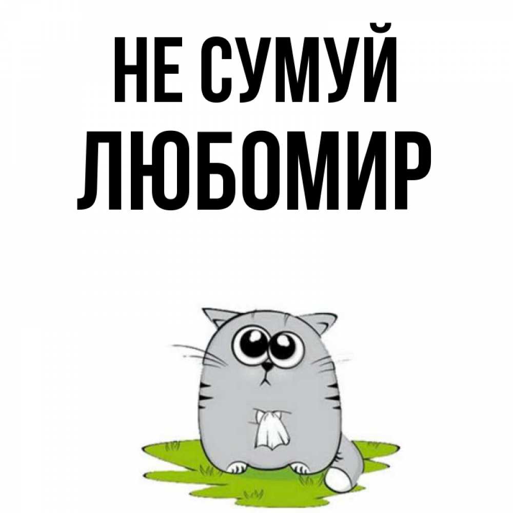 Открытка на каждый день з підписом, Любомир Не сумуй грустный котяра Прикольна листівка з побажанням онлайн скачати безкоштовно 
