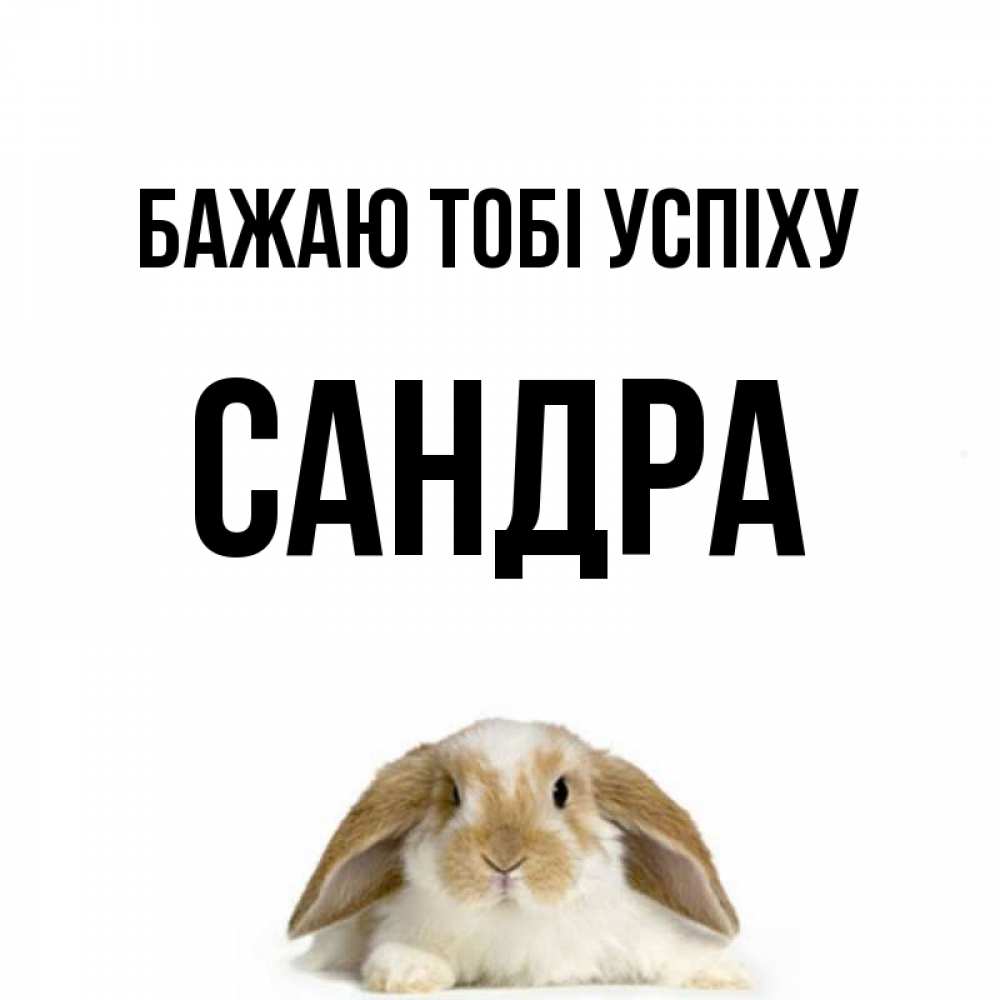 Открытка на каждый день з підписом, Сандра Бажаю тобі успіху открытки с произвольным текстом который можно вставить в открытку и создать ее самостоятельно бесплатно онлайн Прикольна листівка з побажанням онлайн скачати безкоштовно 