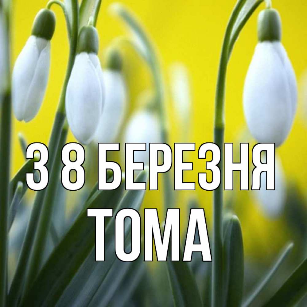 Открытка на каждый день з підписом, Тома З 8 БЕРЕЗНЯ весенние цветы Прикольна листівка з побажанням онлайн скачати безкоштовно 