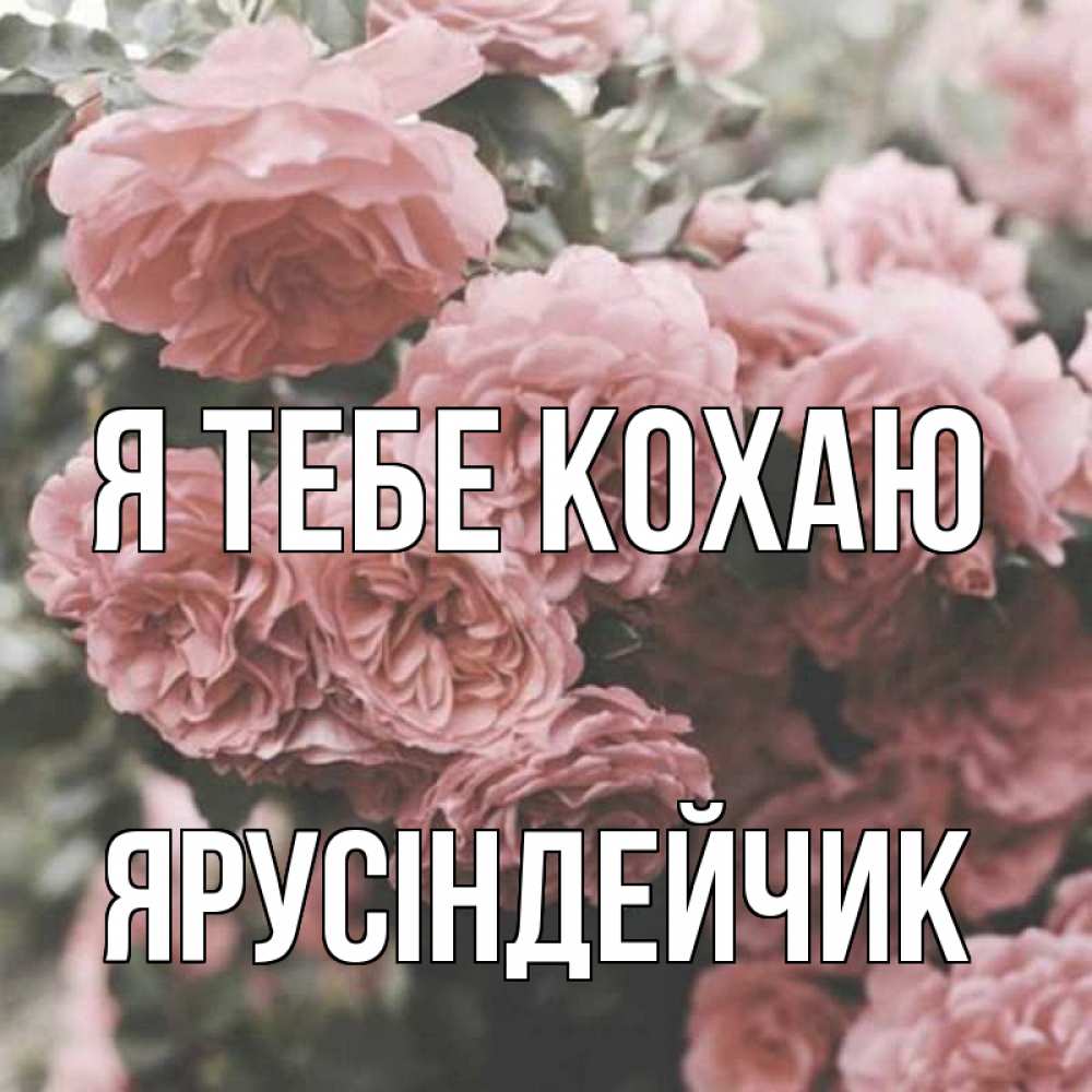 Открытка на каждый день з підписом, Ярусіндейчик Я тебе кохаю розы 3 Прикольна листівка з побажанням онлайн скачати безкоштовно 