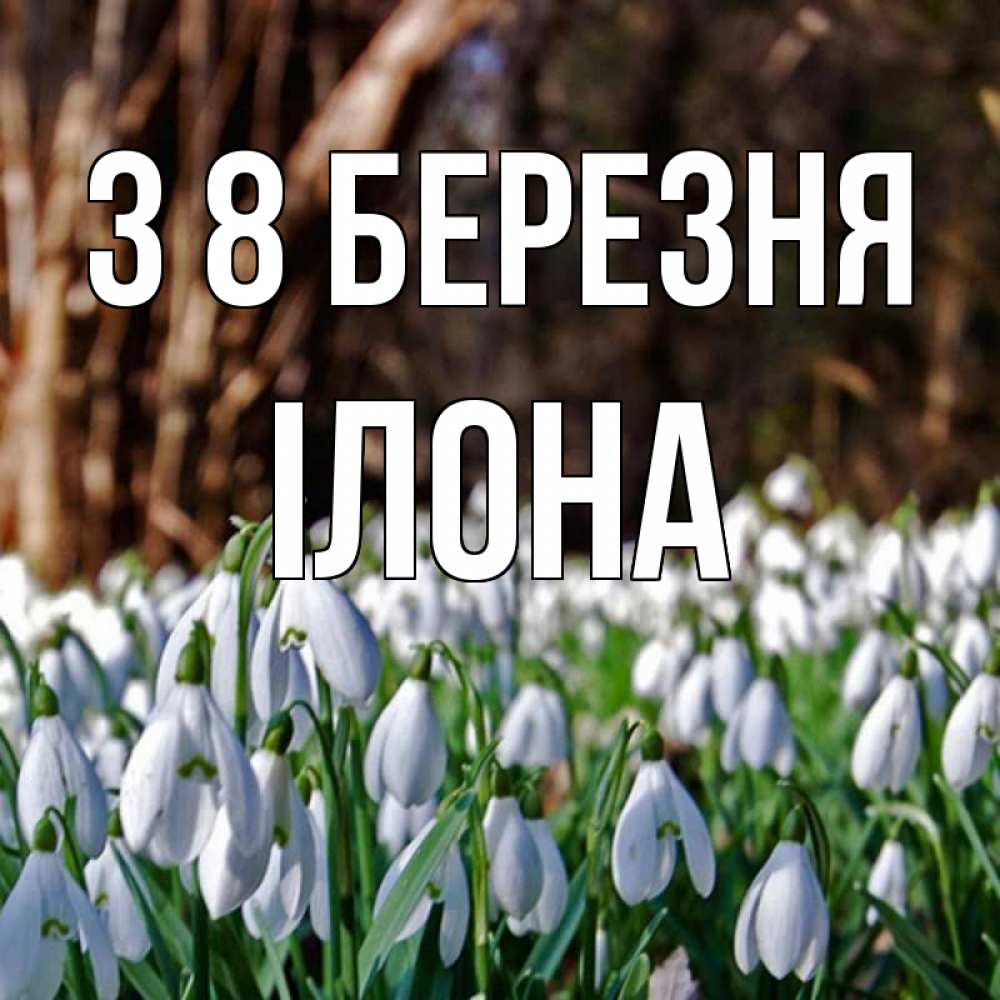 Открытка на каждый день з підписом, Ілона З 8 БЕРЕЗНЯ с подснежниками 1 Прикольна листівка з побажанням онлайн скачати безкоштовно 