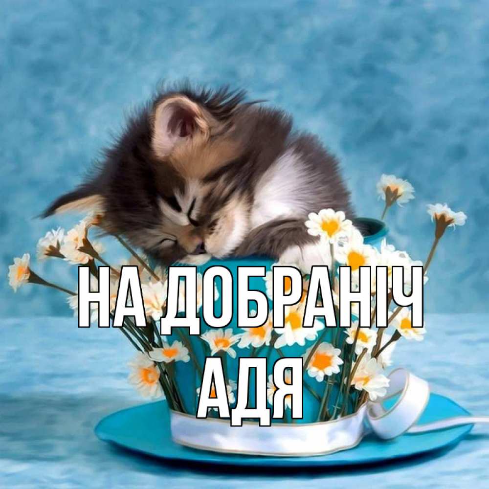 Открытка на каждый день з підписом, Адя На добраніч котенок спит в кружке с блюдцем Прикольна листівка з побажанням онлайн скачати безкоштовно 