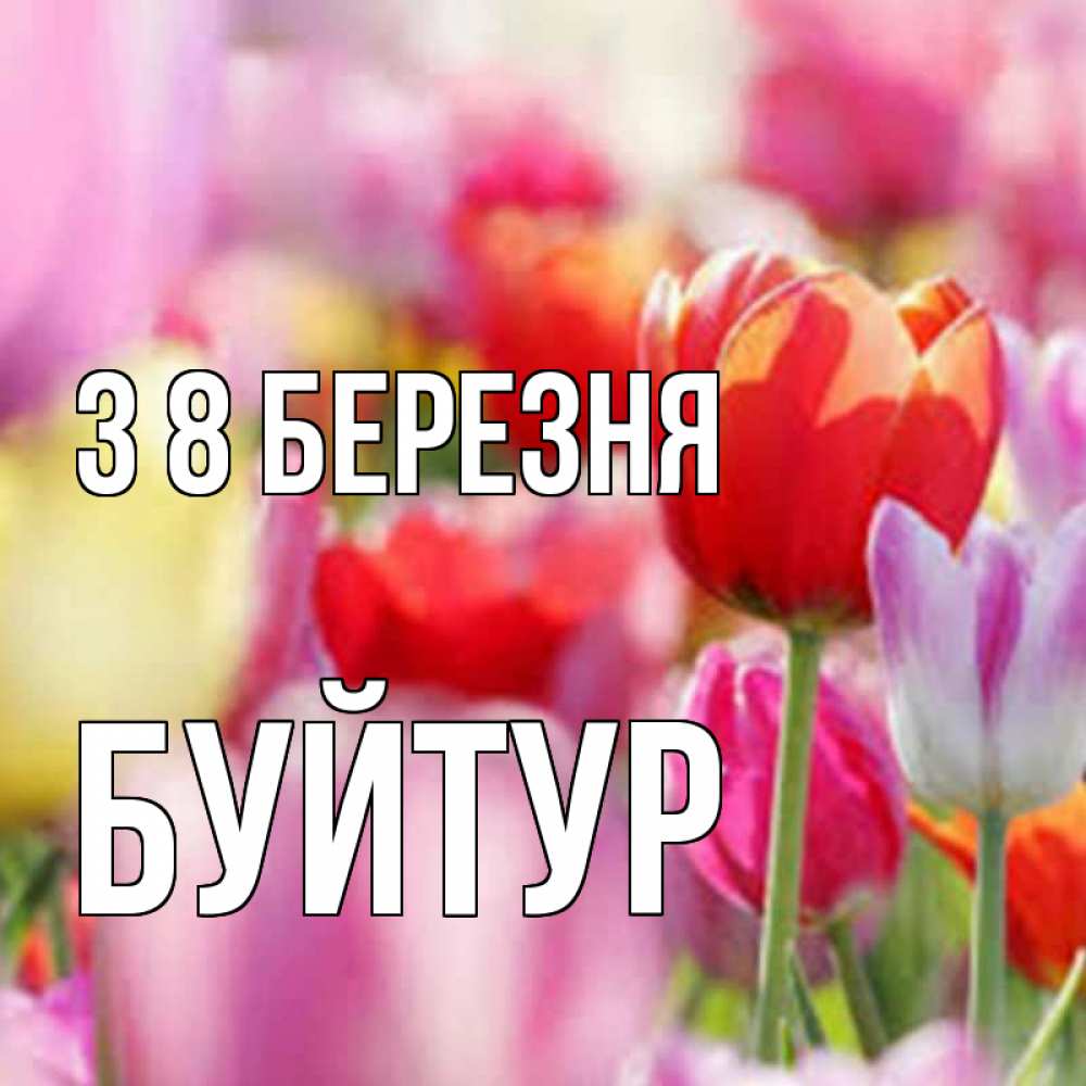 Открытка на каждый день з підписом, Буйтур З 8 БЕРЕЗНЯ на международный женский день 2 Прикольна листівка з побажанням онлайн скачати безкоштовно 