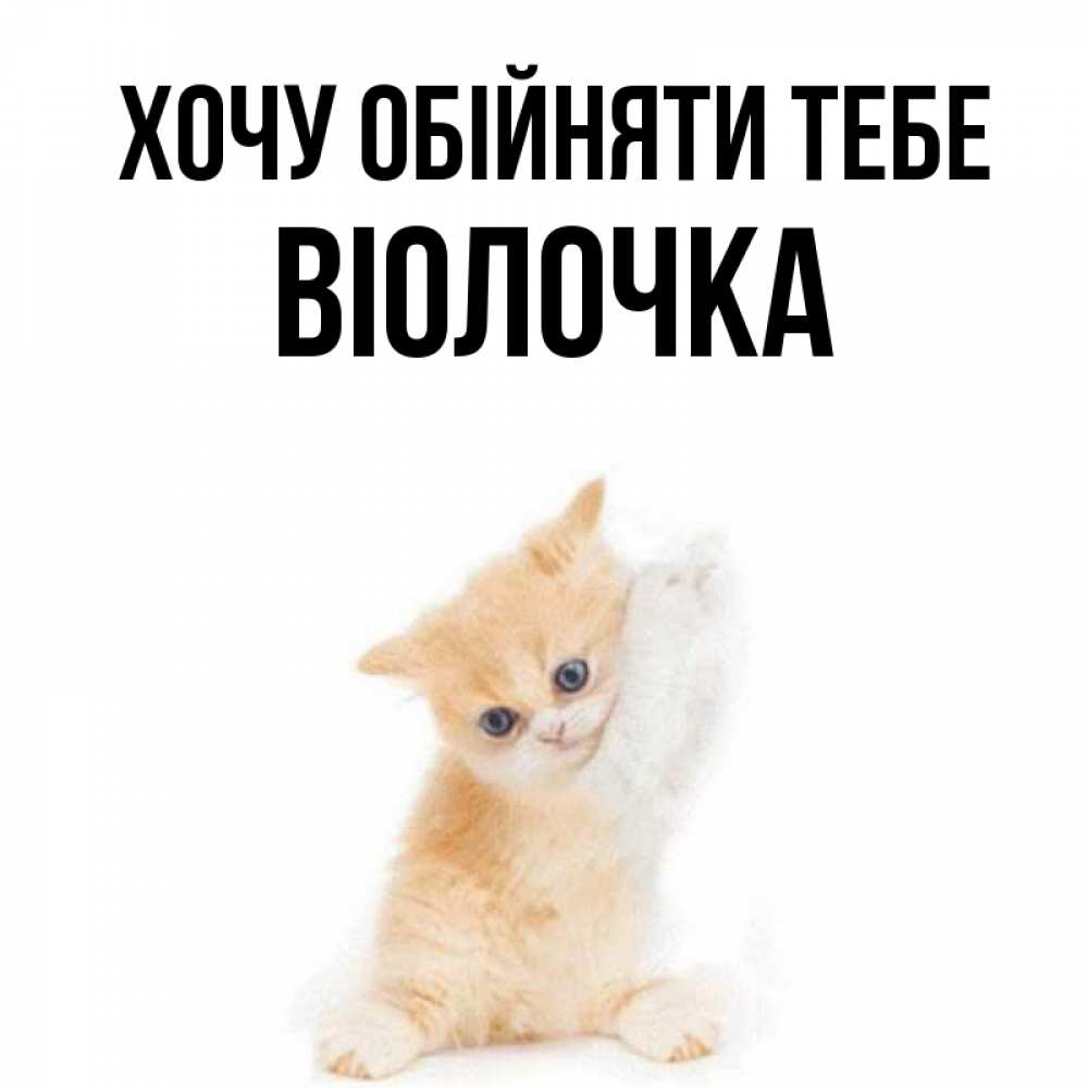 Открытка на каждый день з підписом, Віолочка Хочу обійняти тебе я хочу очень скорее обнимаешек Прикольна листівка з побажанням онлайн скачати безкоштовно 